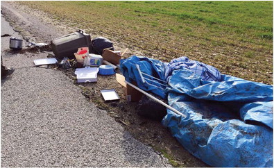 Roadside rubbish