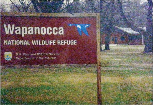 WAPANOCCA