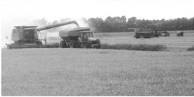 Arkansas growers working into the night to gain ground in planting