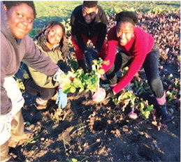 AWM Students all about the Agriculture