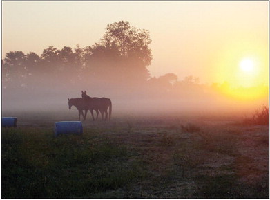 Sunrise over Clarkedale