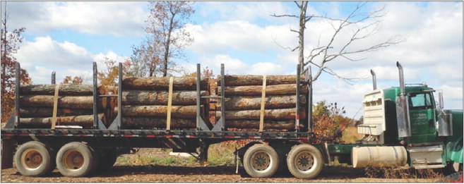 Wet winter weather likely spells shortages for Arkansas lumber mills