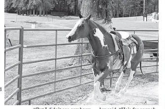 Earle City Council on horse pen request: ‘Nay’!