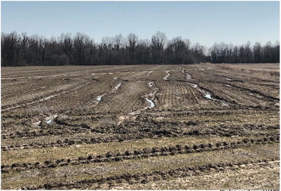 Forecast rains likely to further delay field work, spring planting